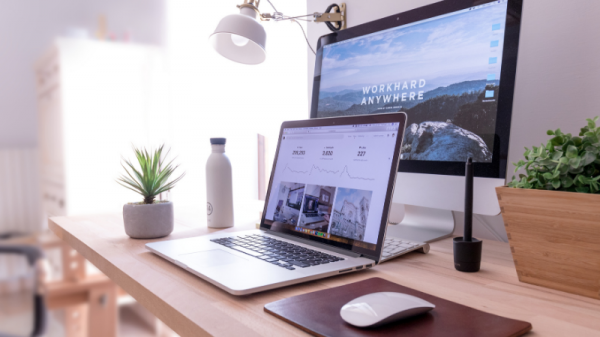 Laptop and monitor on desk near plants