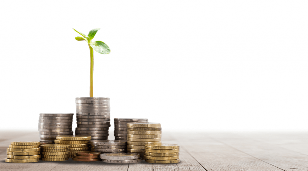 Plant growing between coins